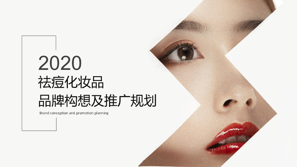 2020化妆品品牌推广全案