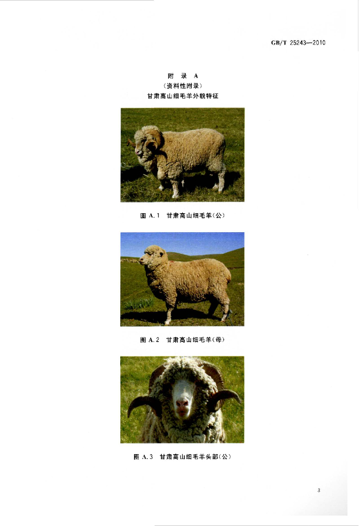 GB/T 25243-2010 标准预览
