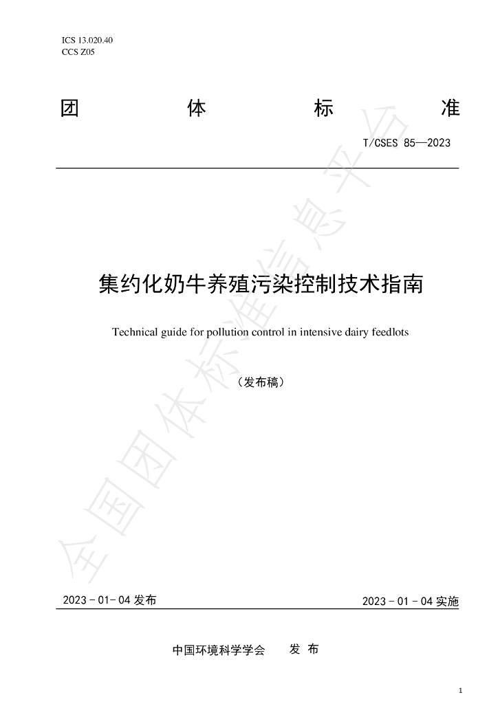 T/CSES 85-2023 标准预览