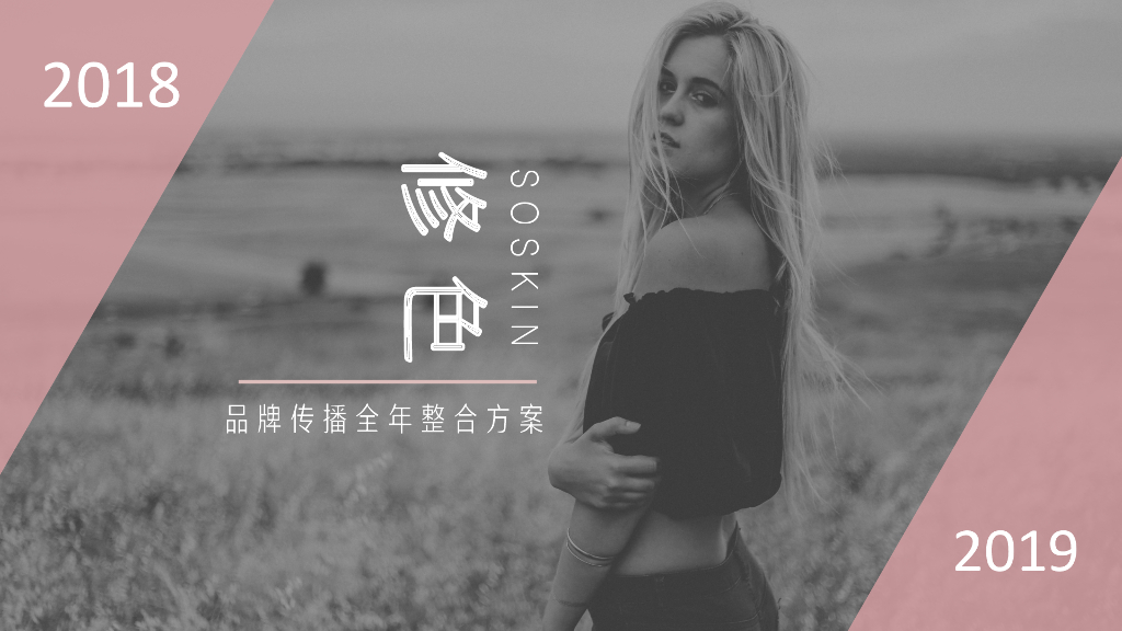 2019修色品牌传播全年整合方案