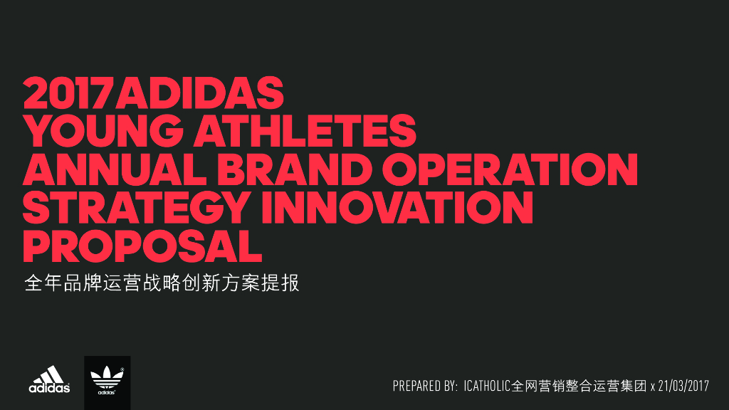 阿斯达斯AYA全年品牌运营战略创新方案提报