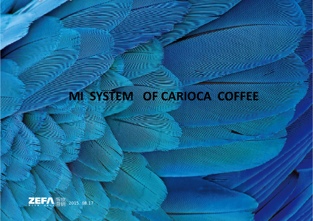 巴西咖啡：Brazilian coffee  MI (update)英文版本