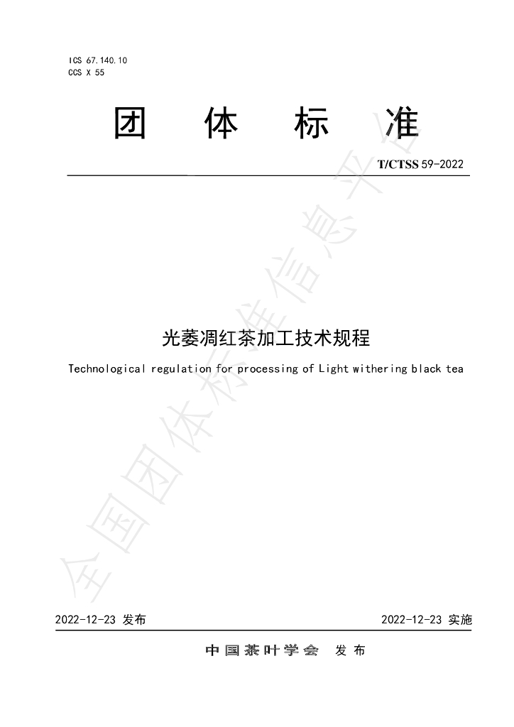T/CTSS 59-2022 标准预览