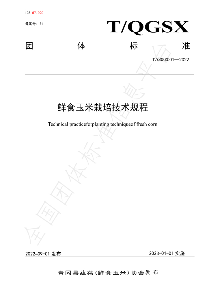 T/QGSX 001-2022 标准预览