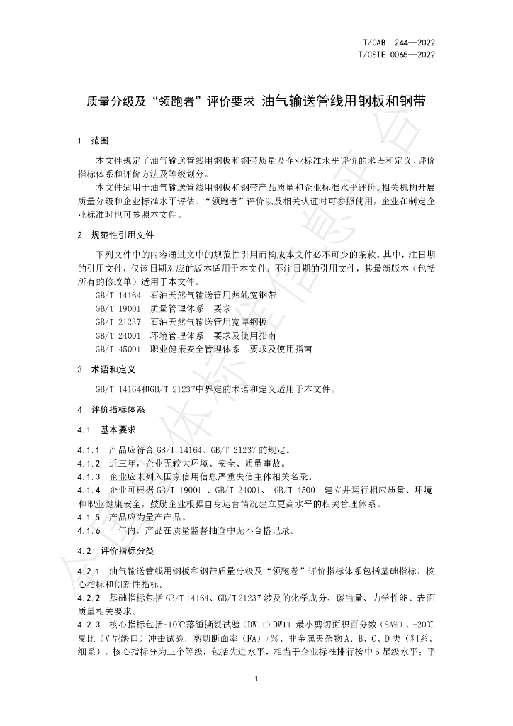 T/CISA 244-2022 标准预览