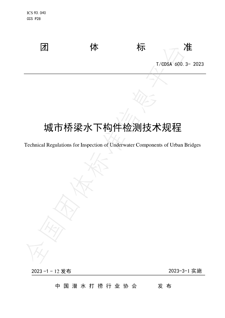 T/CDSA 600.3-2023 标准预览