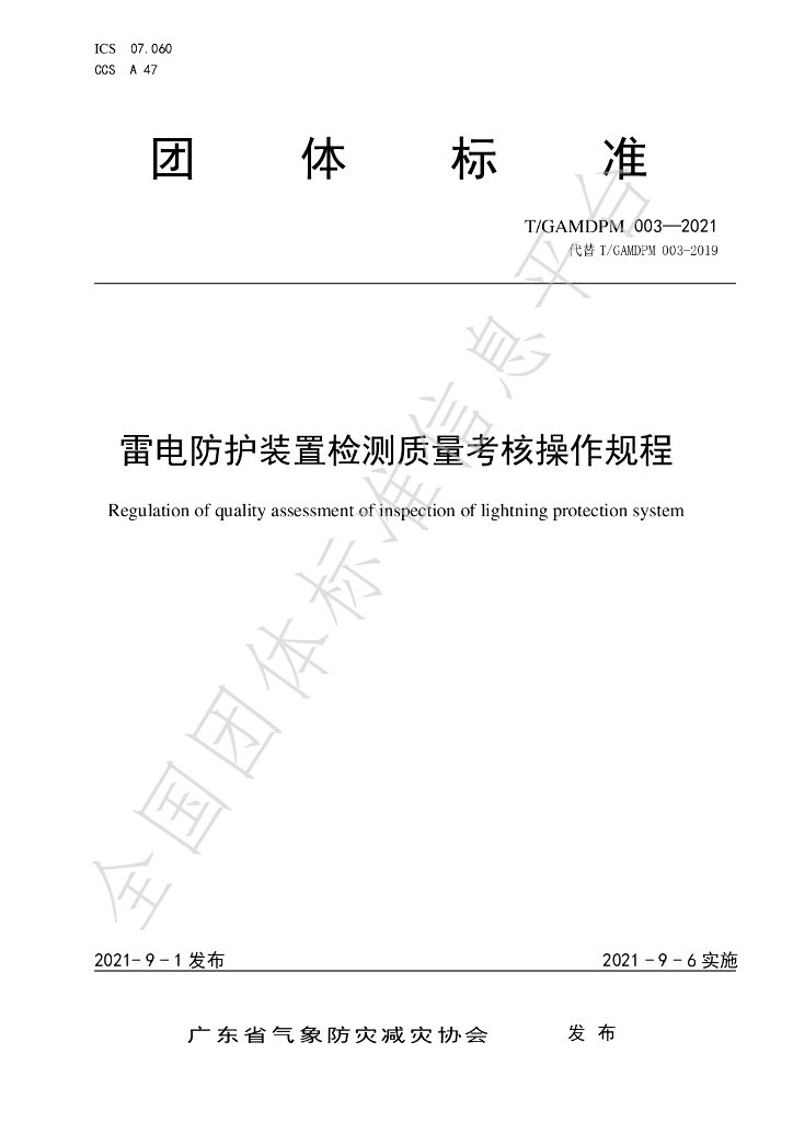 T/GAMDPM 003-2021 标准预览