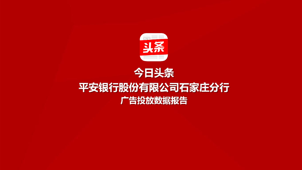 石家庄平安银行10月投放-结案报告