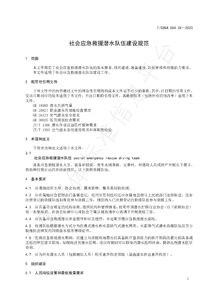 T/CDSA 504.24-2023 标准预览