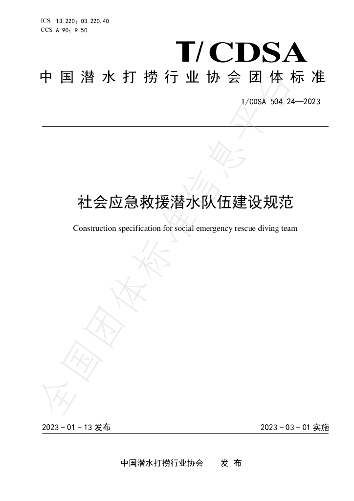 T/CDSA 504.24-2023 标准预览
