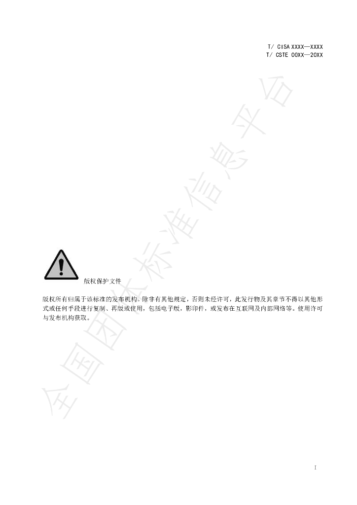 T/CISA 246-2022 标准预览