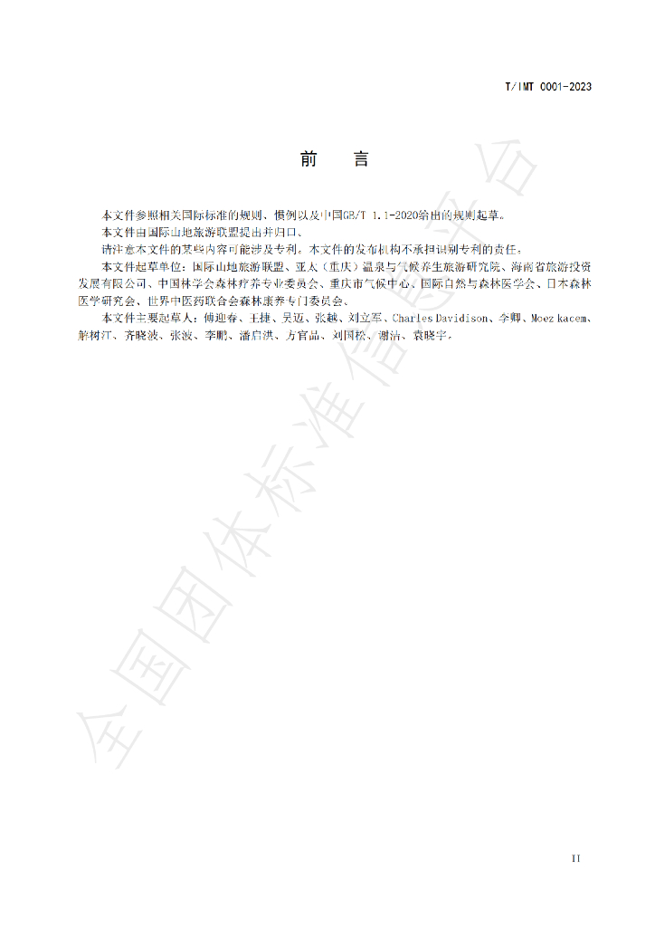 T/IMT 0001-2023 标准预览