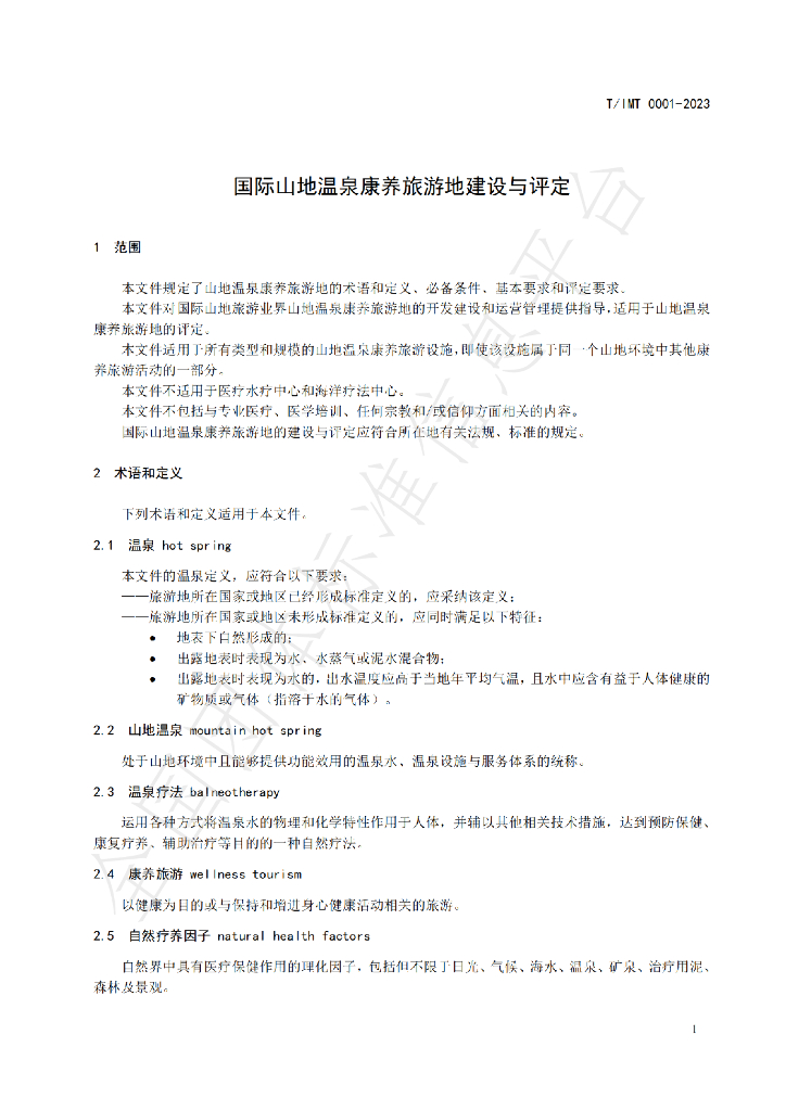 T/IMT 0001-2023 标准预览