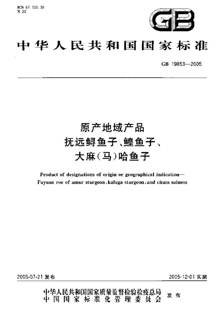 GB 19853-2005 标准预览