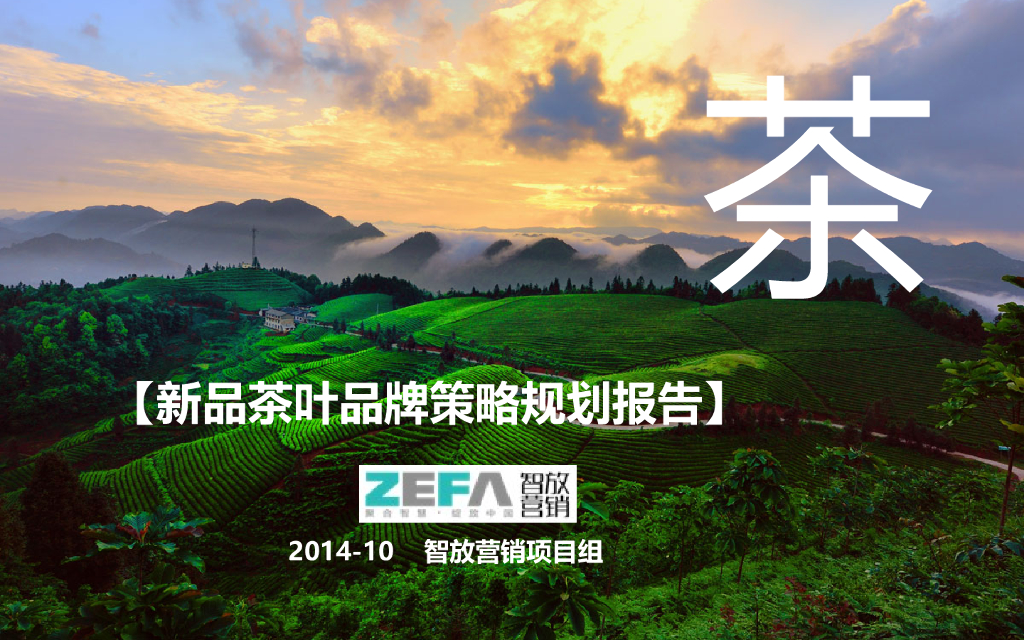 杯包：新品茶叶品牌策略规划报告