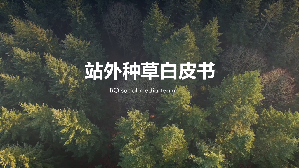 站外种草白皮书