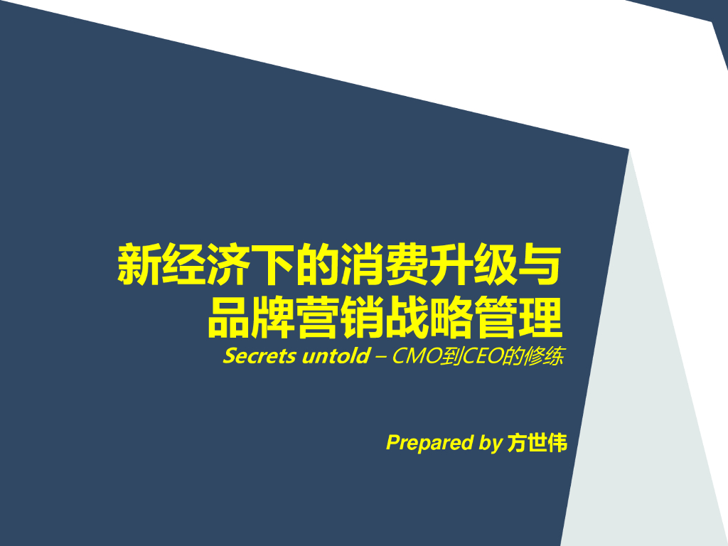 新经济下的消费升级与品牌营销战略管理