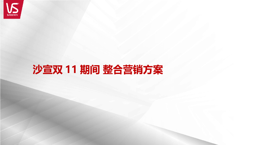 沙宣双11方案