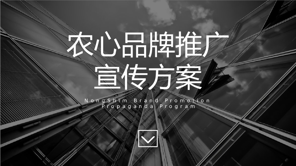 农心品牌2019推广宣传方案