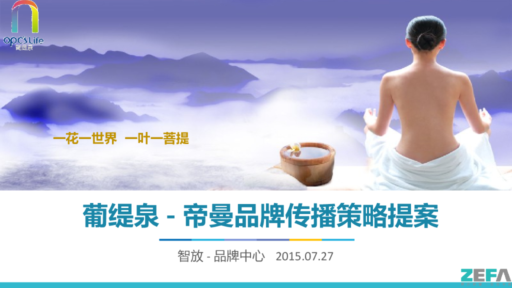 ZEFA智放营销：葡缇泉-帝曼品牌传播策略提案