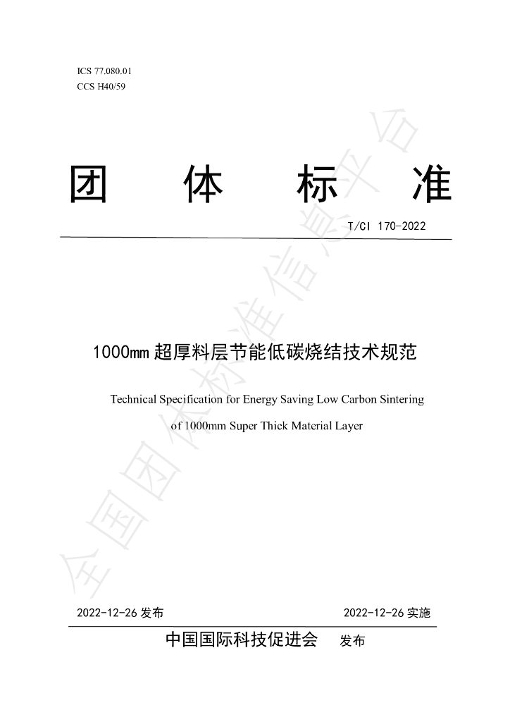 T/CI 170-2022 标准预览