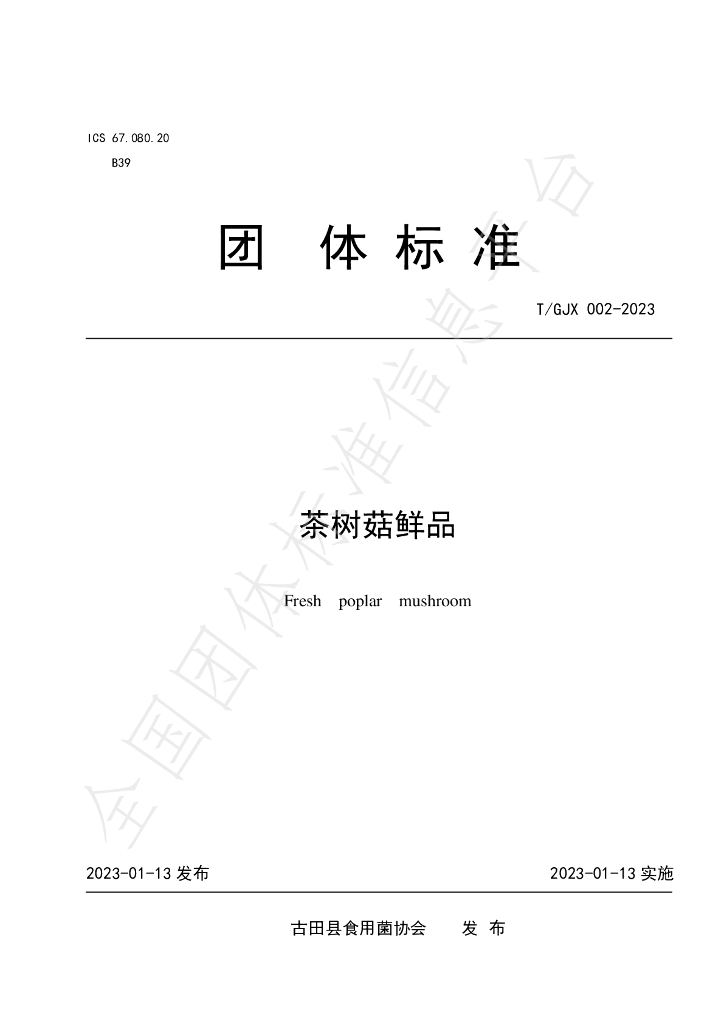 T/GJX 002-2023 标准预览