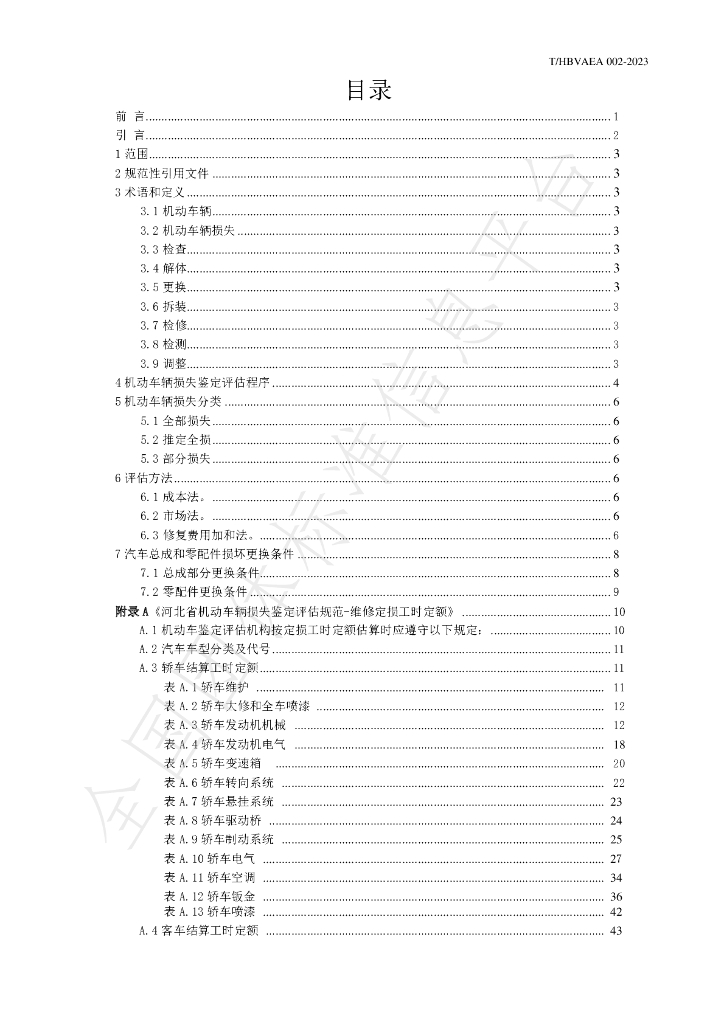 T/HBVAEA 002-2023 标准预览