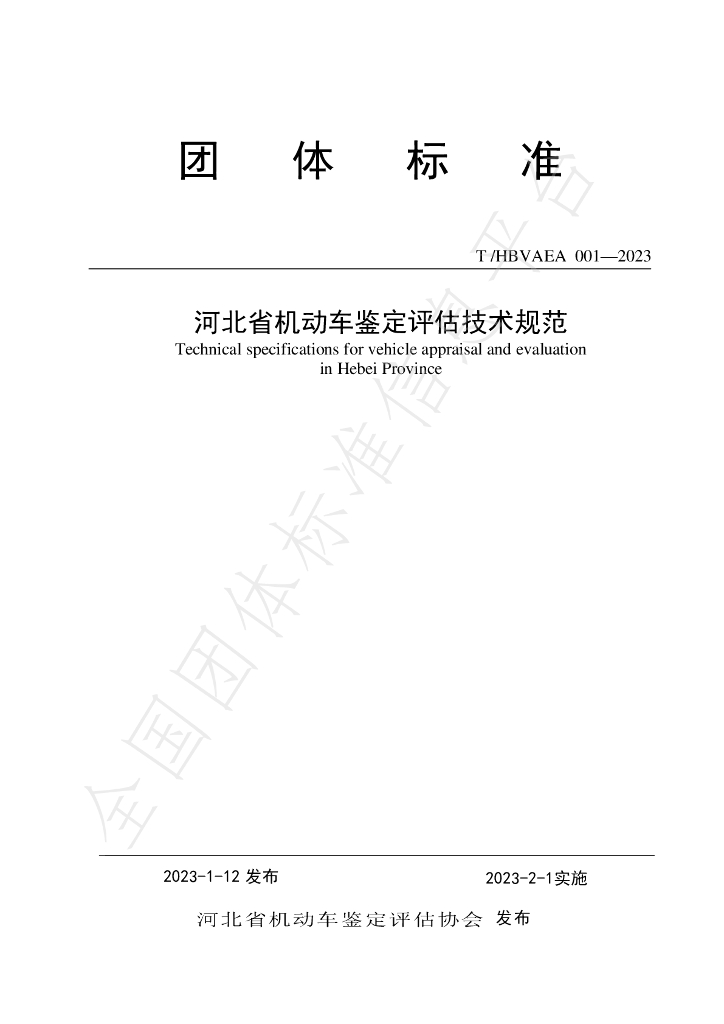 T/HBVAEA 001-2023 标准预览