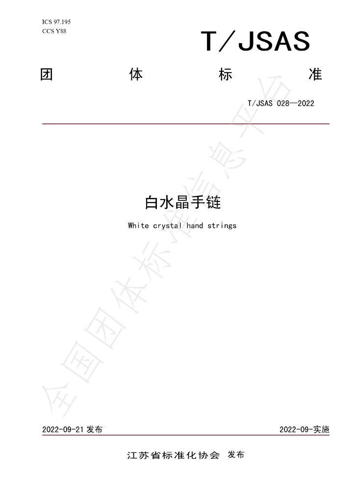 T/JSAS 028-2022 标准预览
