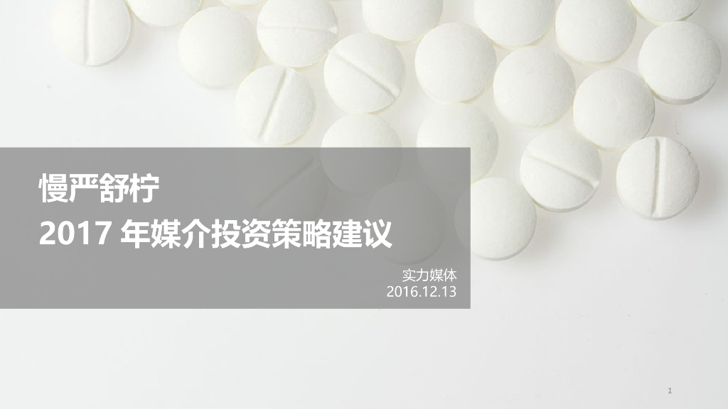 慢严舒柠2017年媒介投资策略建议