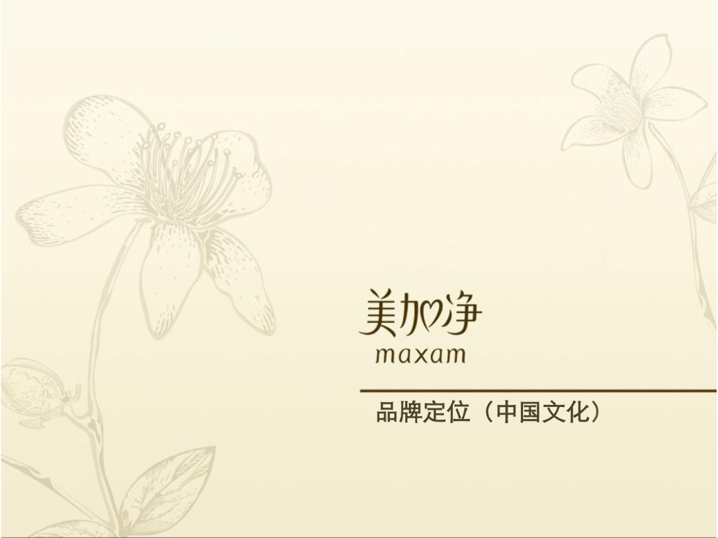美加净品牌定位（中国文化）