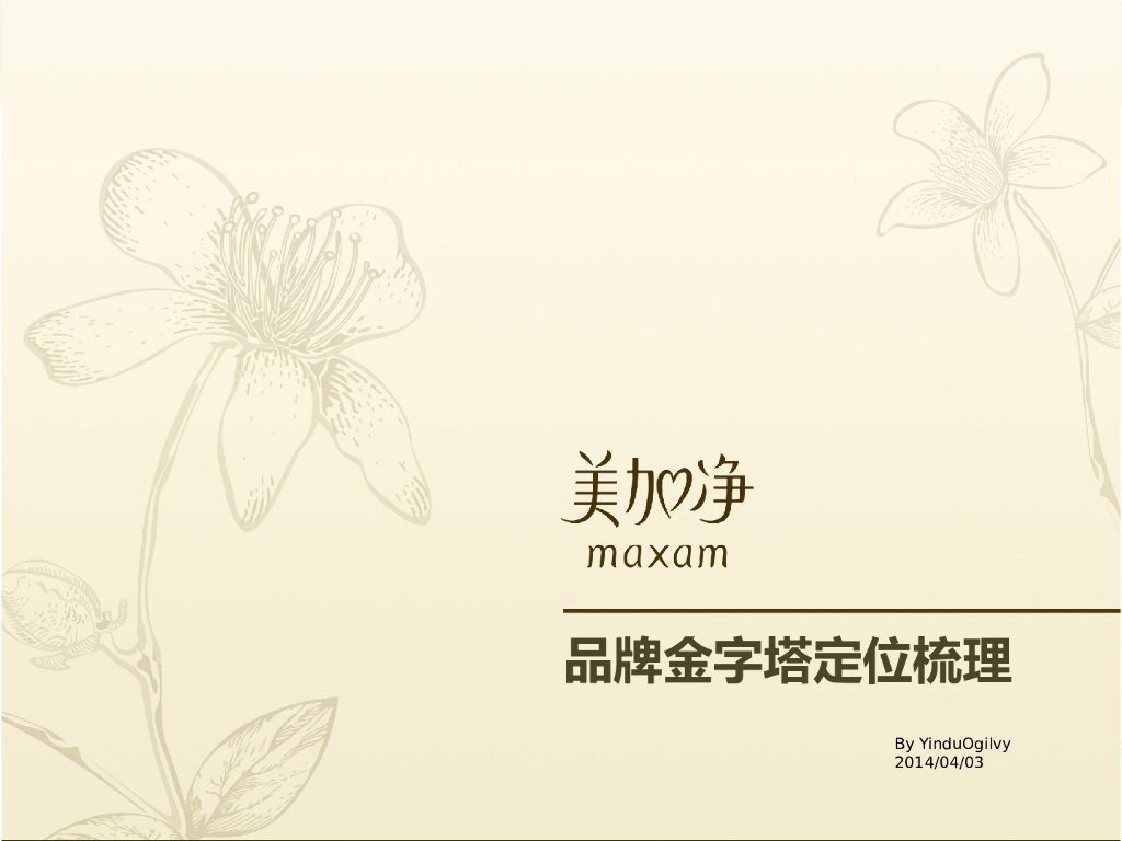 美加净品牌定位revision