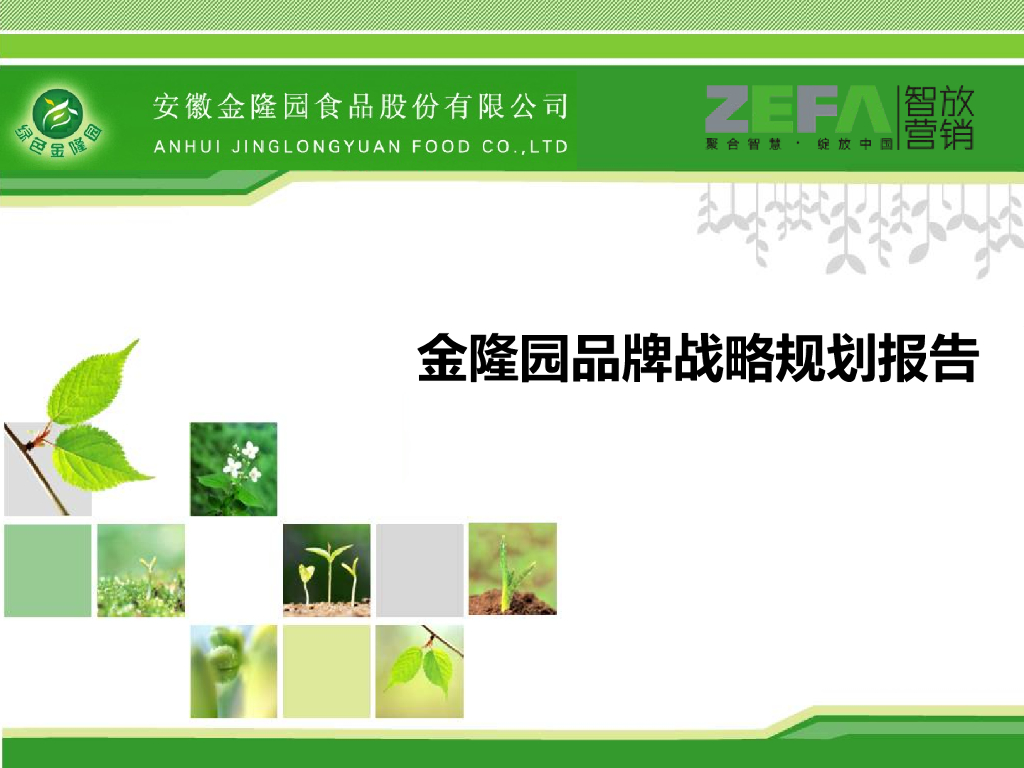 金隆园：品牌规划