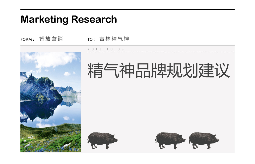 精气神品牌及传播建议