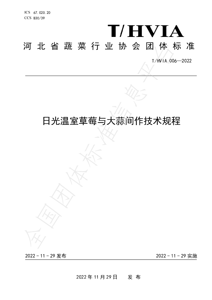 T/HVIA 006-2022 标准预览