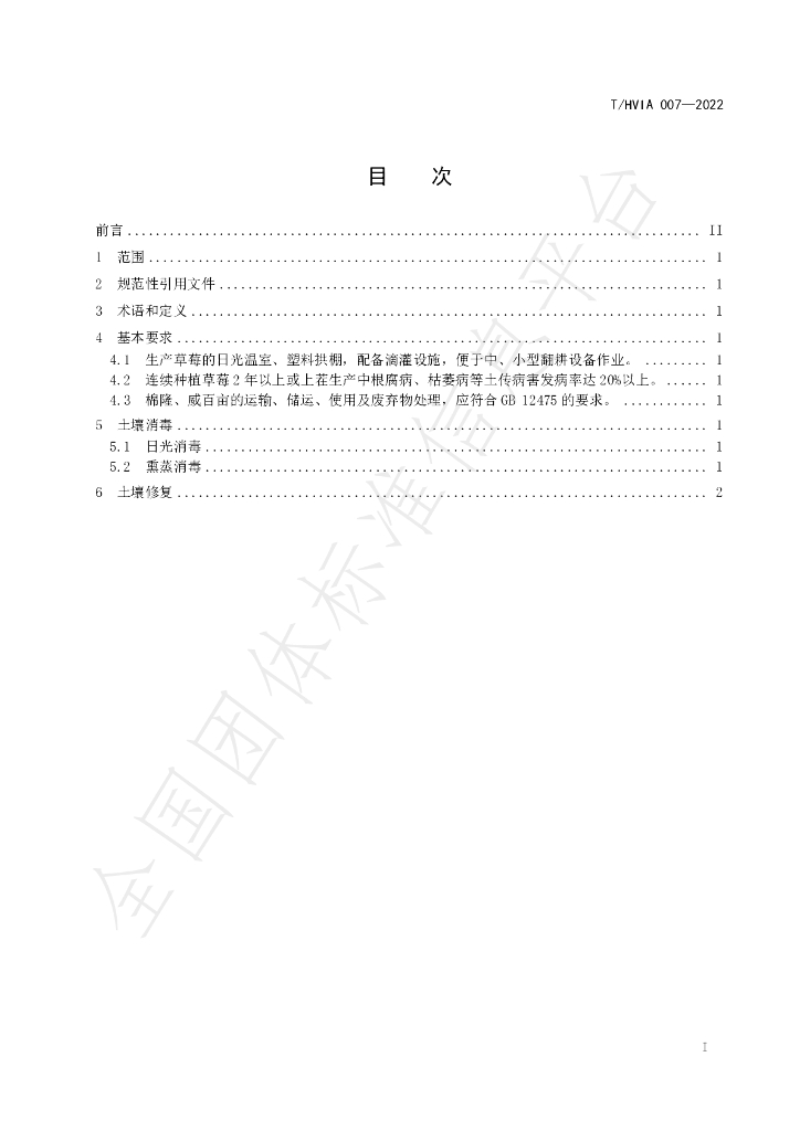 T/HVIA 007-2022 标准预览
