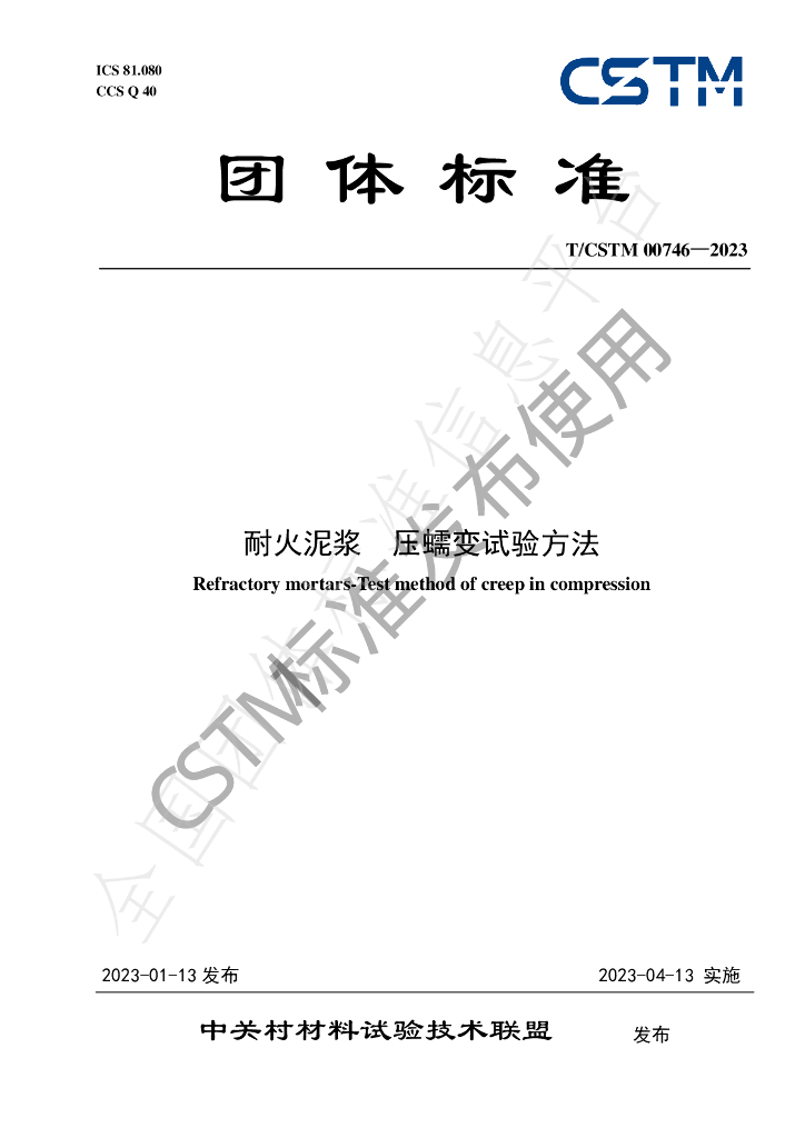 T/CSTM 00746-2023 标准预览