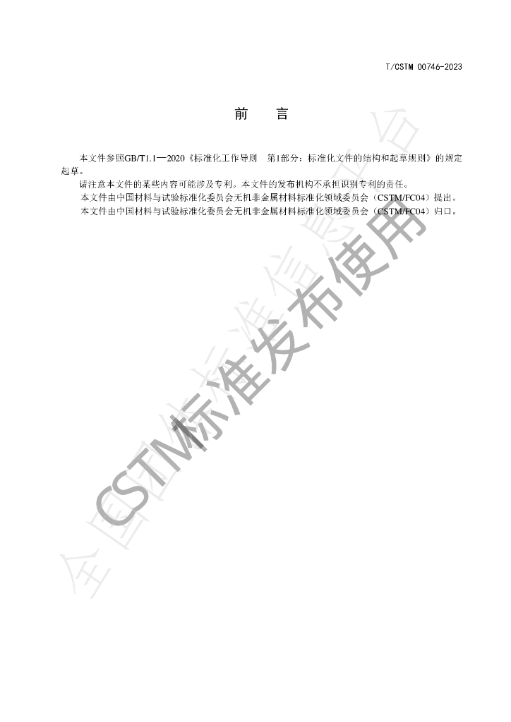 T/CSTM 00746-2023 标准预览
