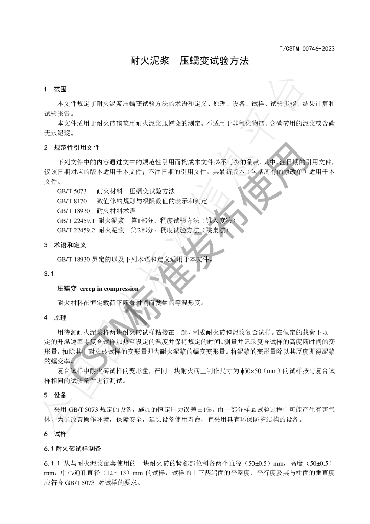 T/CSTM 00746-2023 标准预览