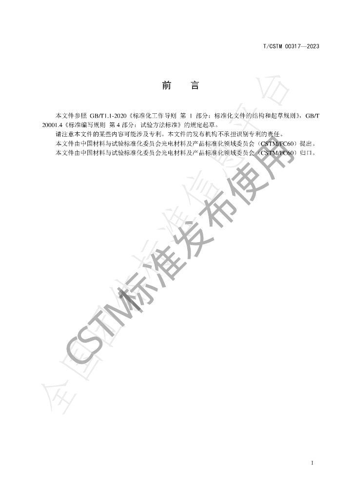 T/CSTM 00317-2023 标准预览