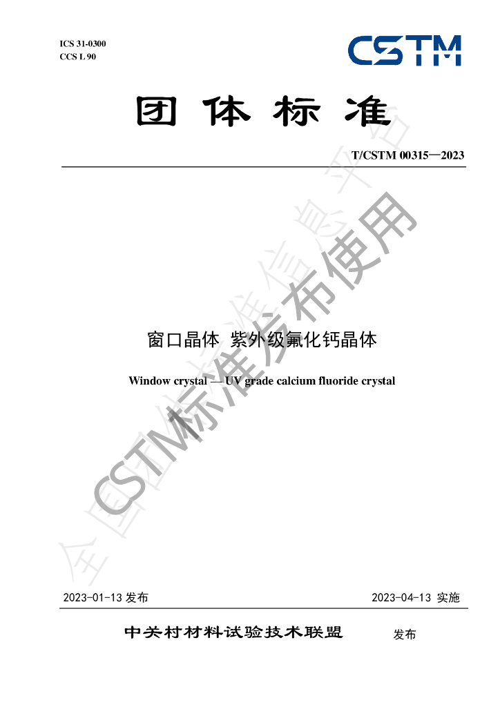 T/CSTM 00315-2023 标准预览