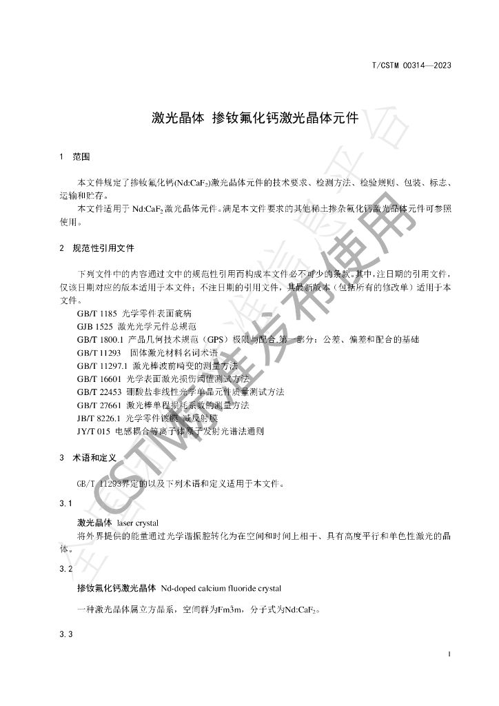 T/CSTM 00314-2023 标准预览
