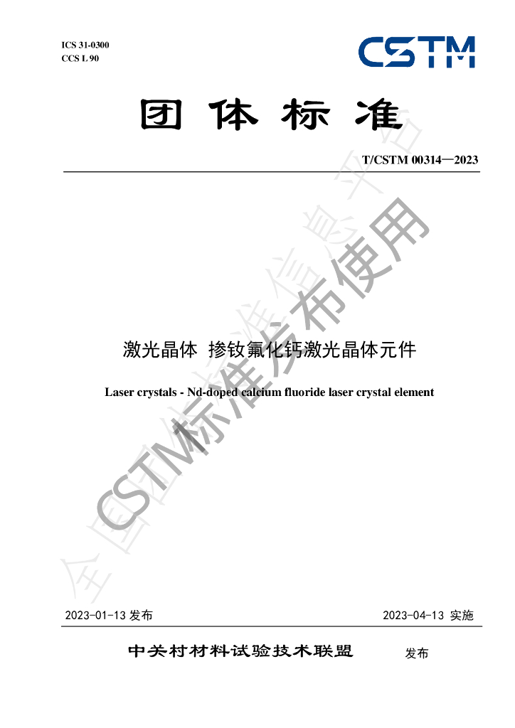 T/CSTM 00314-2023 标准预览