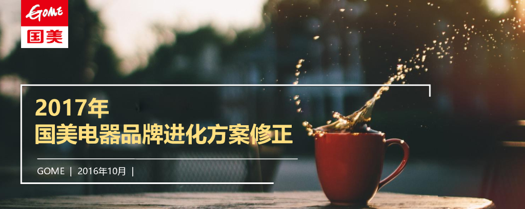 国美品牌策略精进及访谈报告