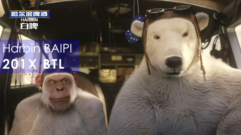 哈尔滨白啤线上线下整合营销策划方案