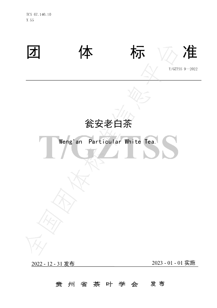 T/GZTSS 9-2022 标准预览