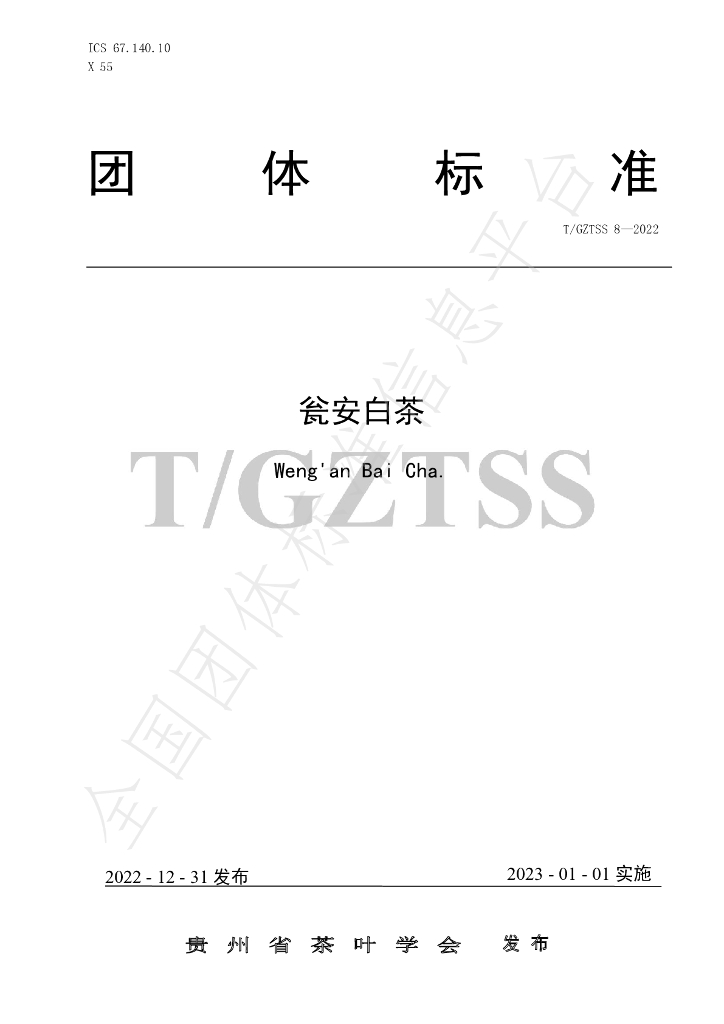 T/GZTSS 8-2022 标准预览