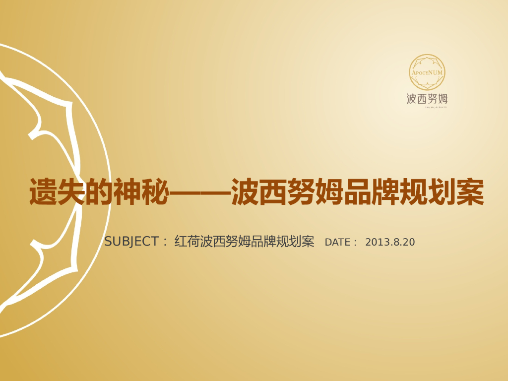 波西努姆：品牌规划案提案版