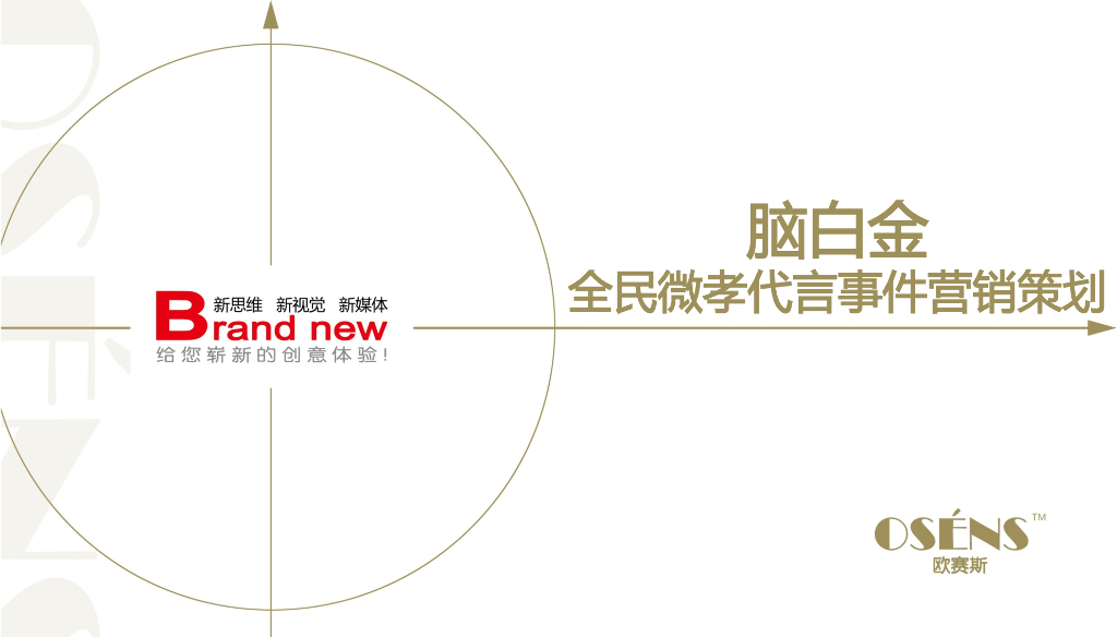 脑白金全民微孝代言事件营销策划-47P