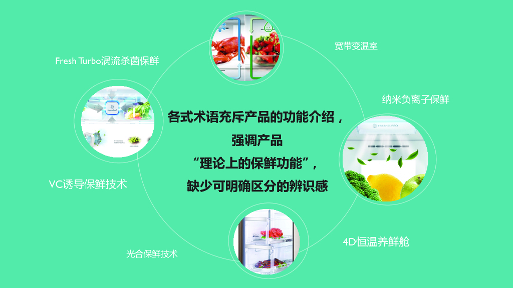 西门子冰箱产品上市数字营销方案_第5页